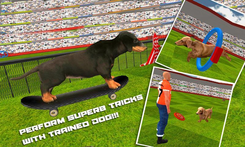 Dog Stunt Show Simulator 3D